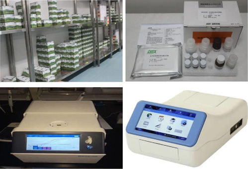 攜手國際前沿，守護舌尖安全——我校獲批浙江省農產品質量安全與計量檢測國際科技合作基地